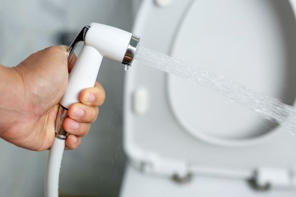 Cost of Bidet Installation in Parker
