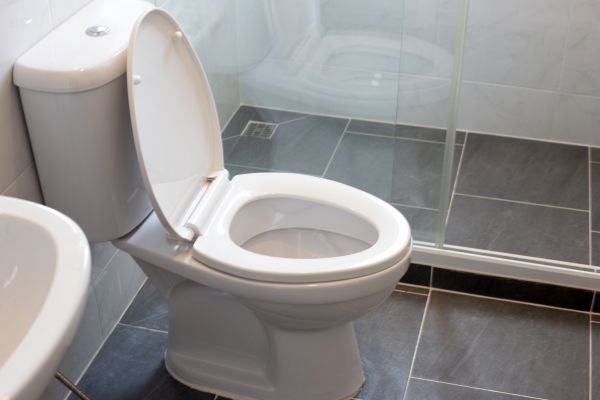 Cost of Toilet Replacement in Parker