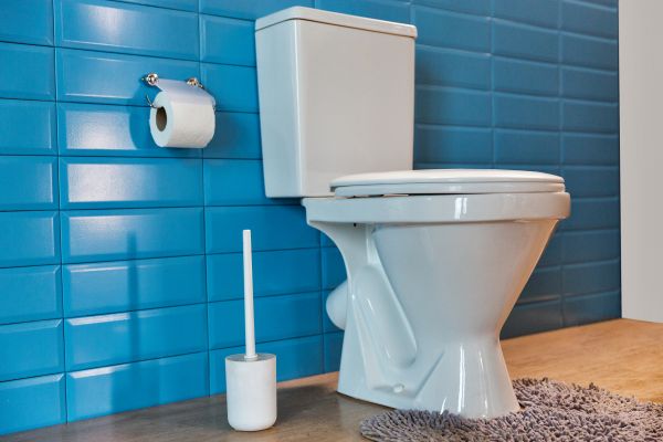 Cost of Toilet Tank Repair in Parker